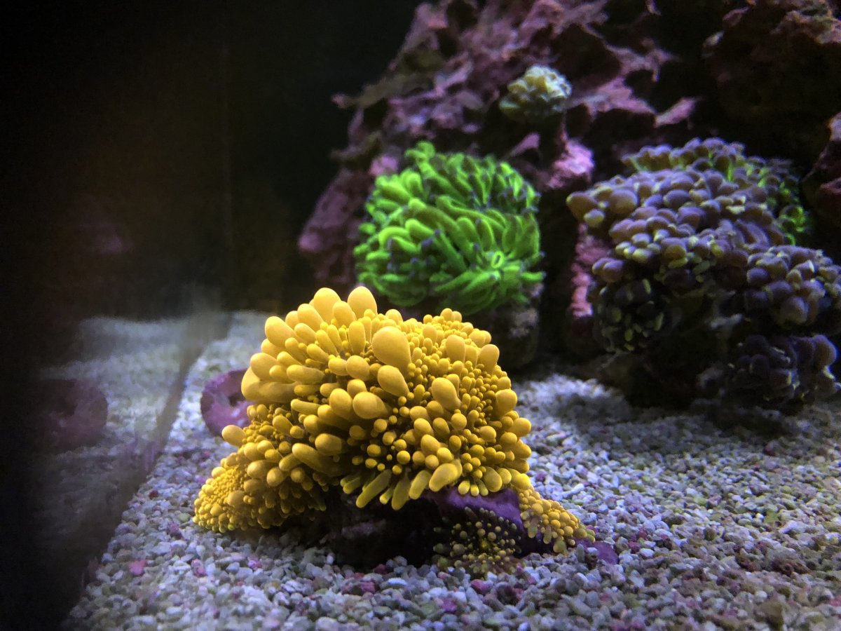 F27FFA33-264A-4A09-A6D5-2F8A35CCCF27.jpeg