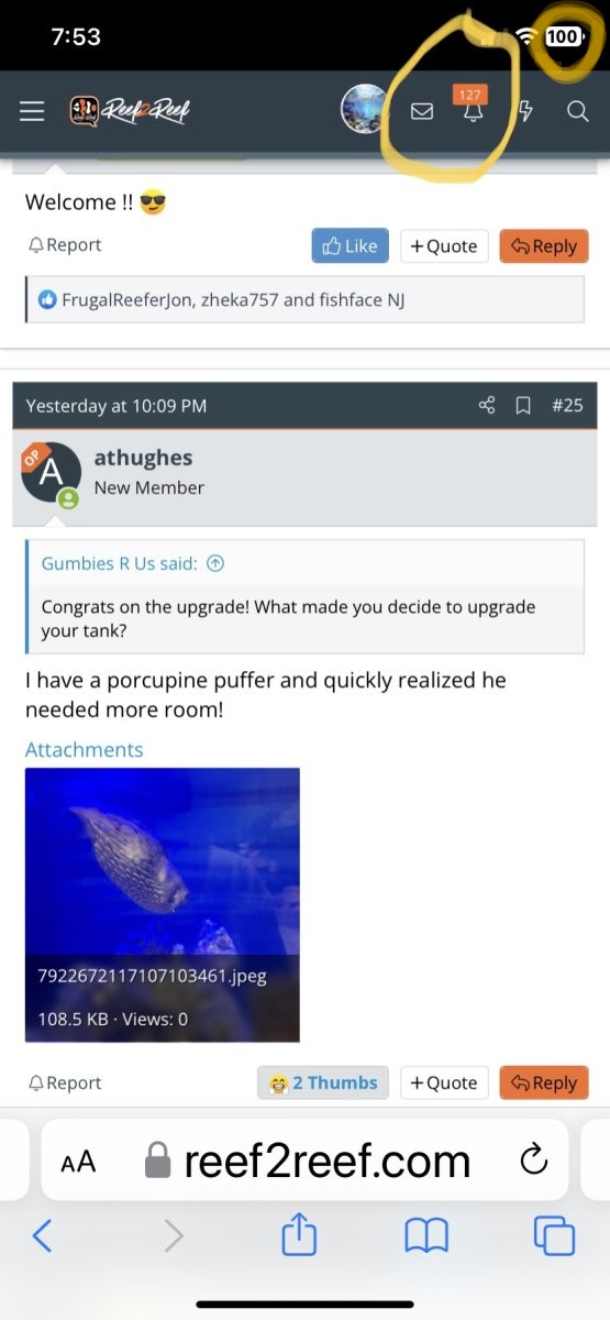 F2F004FB-F0CD-4CE2-9B29-A21184F4987B~3.jpeg