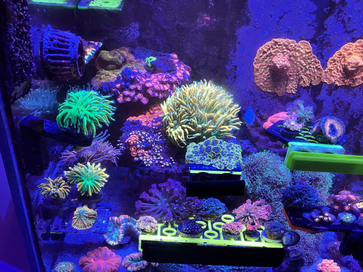 F34FF648-5B83-4C25-920F-9ED74129E4C7.jpeg