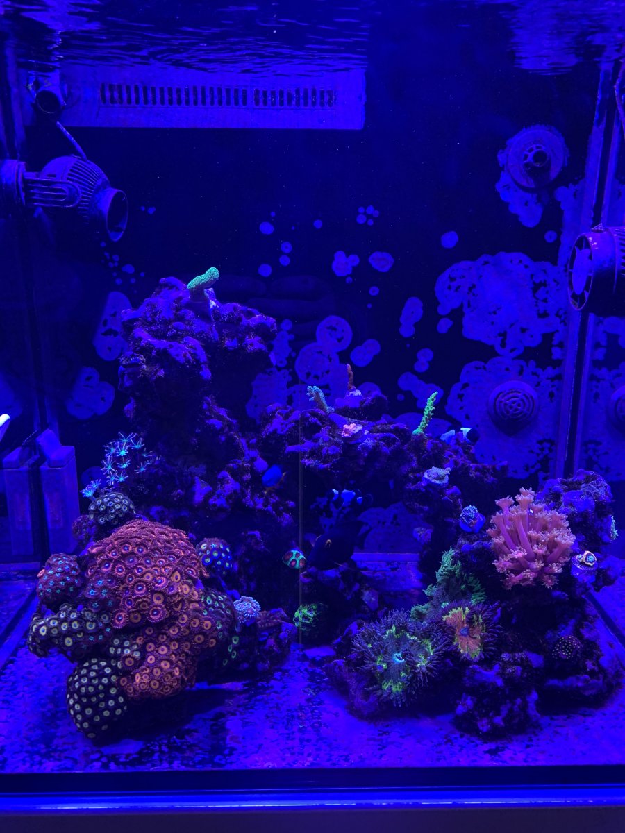 F383006D-DEC1-4957-90F8-1D0D4FB5CA67.jpeg