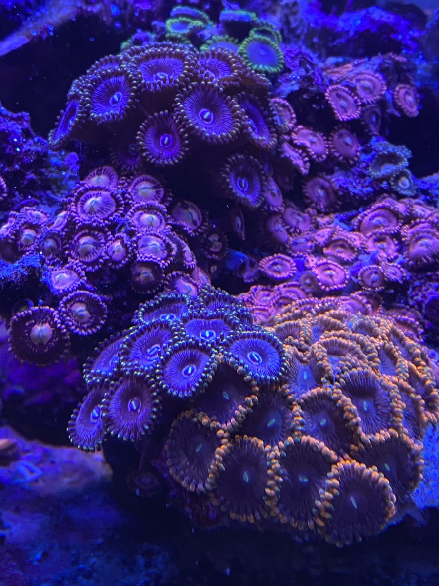 F3F46918-3E60-4383-992F-DB0FF85F1FD6.jpeg