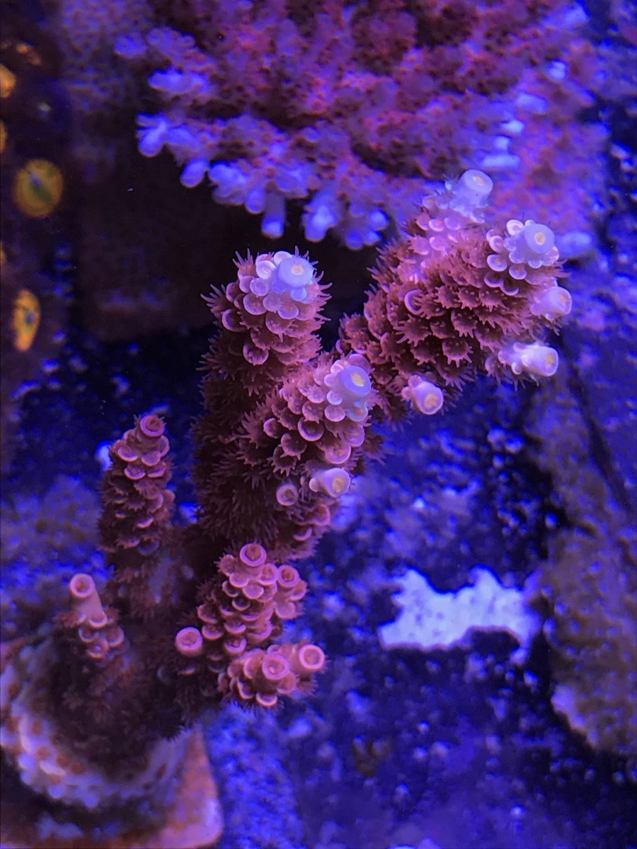 F5076855-BD75-4E77-8177-AB2C1CE3871E.jpeg