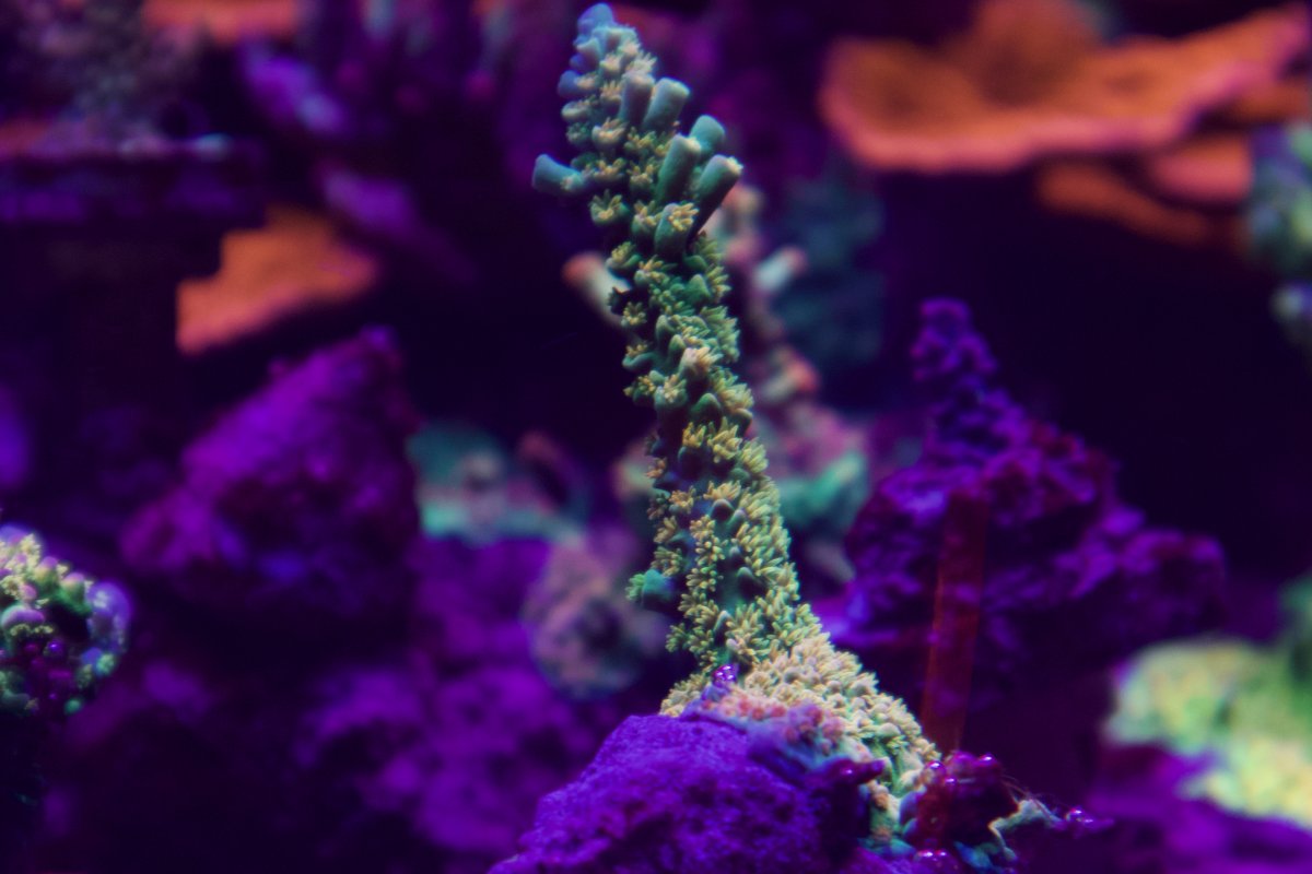 F51D5D9D-2EF6-411B-BC02-DF9FF72B142C.jpeg