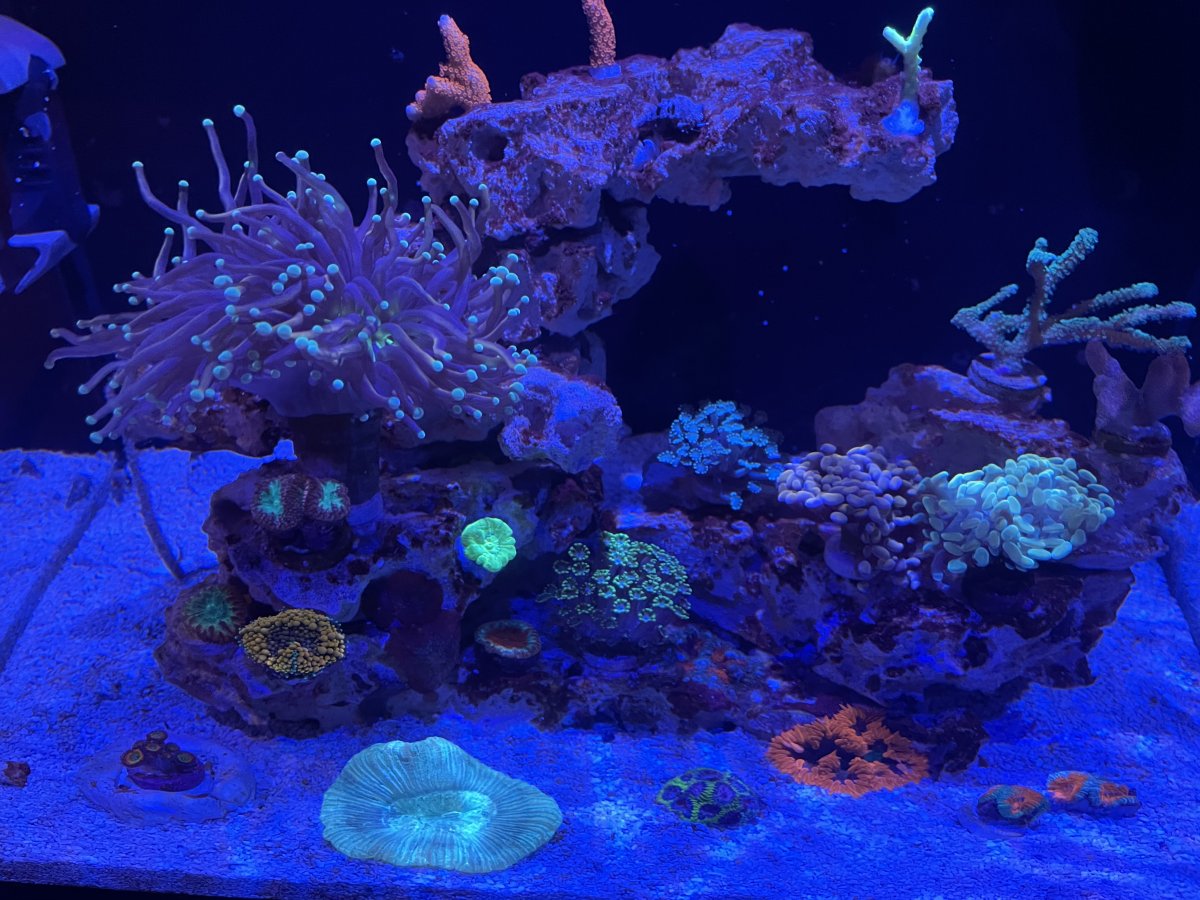 Aquarium Filter Floss - Reef Casa