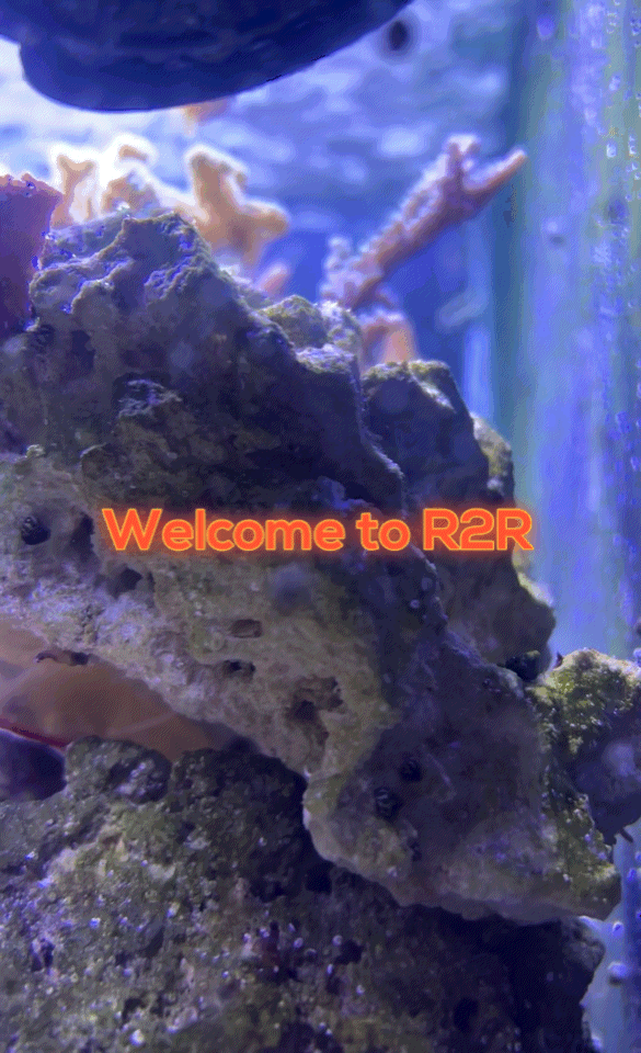 F67E2E65-E2EF-40D6-8491-D78A3D1D44EA.gif