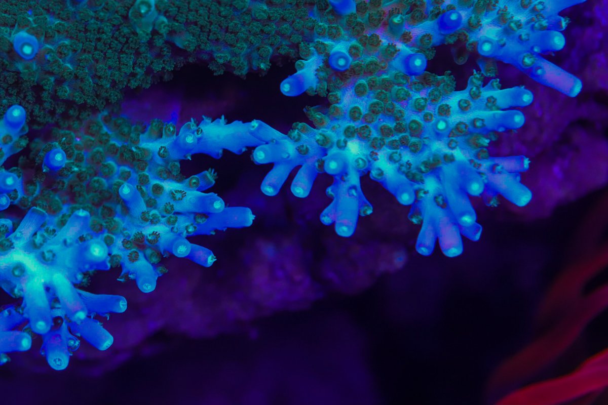 F6DBDDA3-C792-47BA-8DBD-60384B109CB3.jpeg