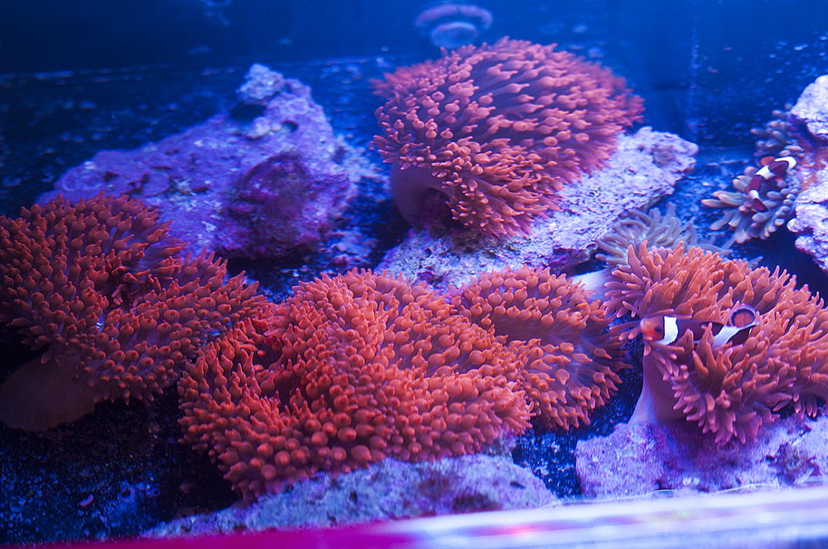 F6E565DF-6A6C-4B53-BE55-EE9D4F059B9E.jpeg