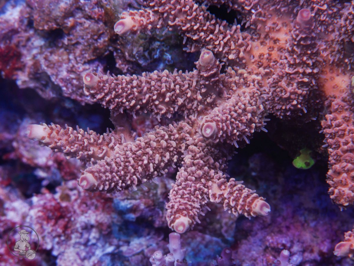F7684C1B-7A26-45E3-AA8E-CFE8412BCEB2.jpeg