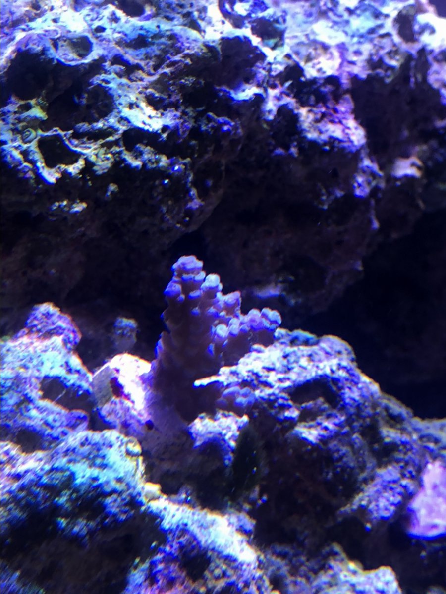 F7E64662-1B0F-48FD-A128-3F35C924DCA2.jpeg