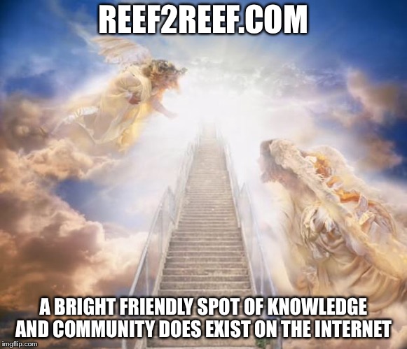 F89AEA51-8D89-4E91-AA33-2E41DDCE75E8.jpeg