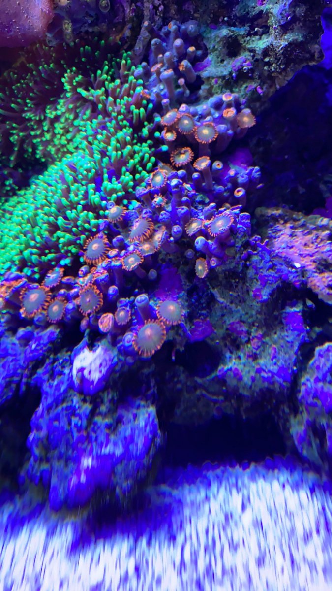 F9770344-7C5B-4E49-A0DB-5E723EDD48E7.jpeg