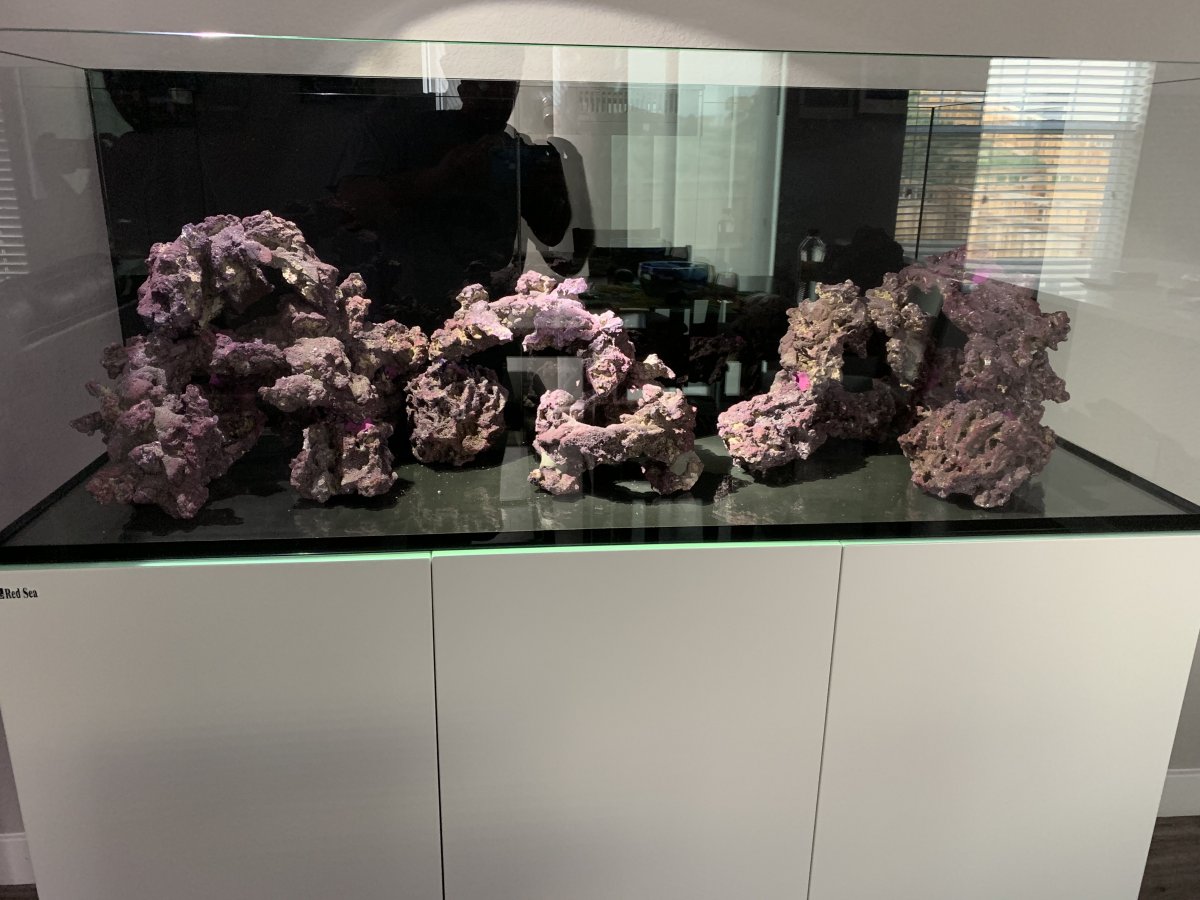 Build Thread - New Guy with a Red Sea Reefer 450 build! | Page 2 ...