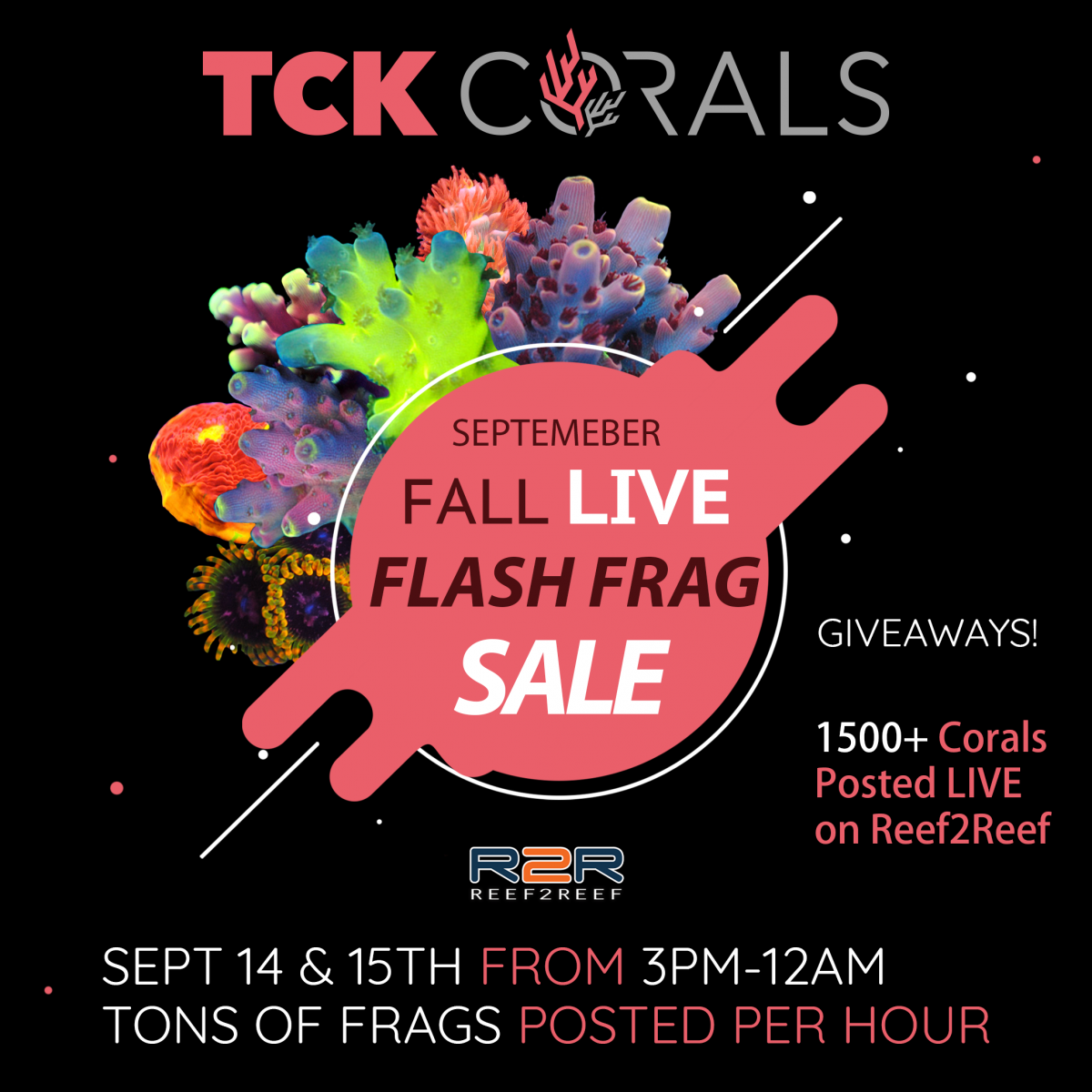 Fall Flash Frag Sale-02.png