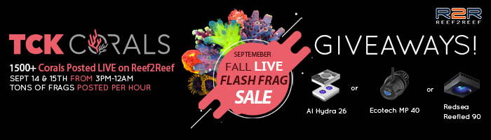 Fall Flash Frag Sale New 700x200.jpg