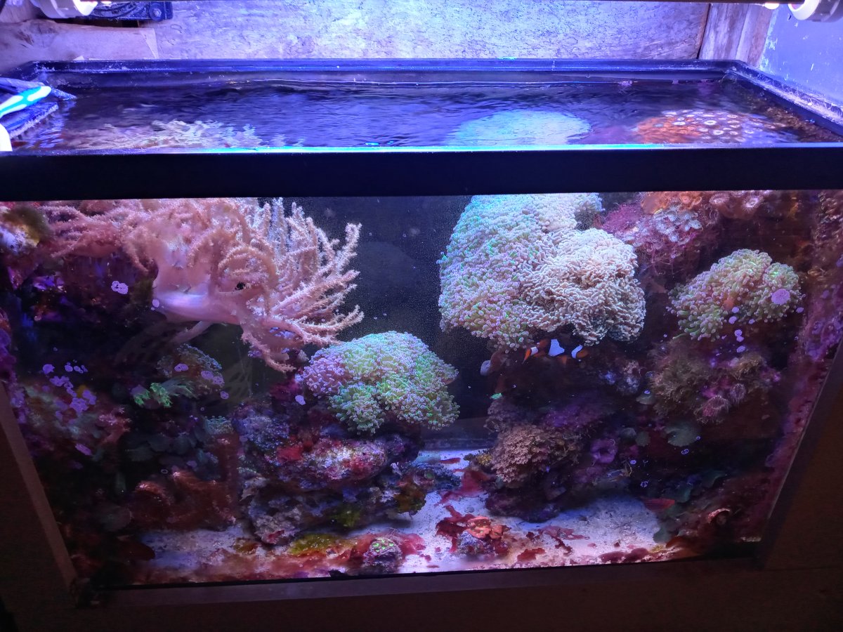 fallreef-2023.jpg