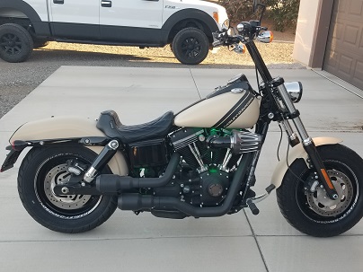Fat Bob 4.jpg