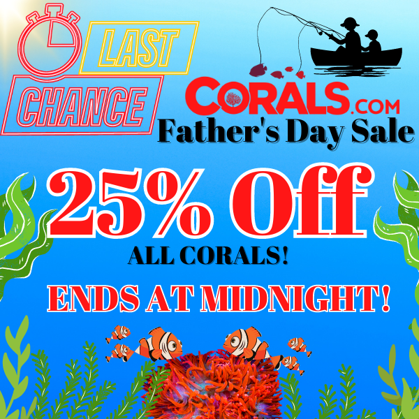 Fathers Day Sale 2023 (600 × 600 px).png