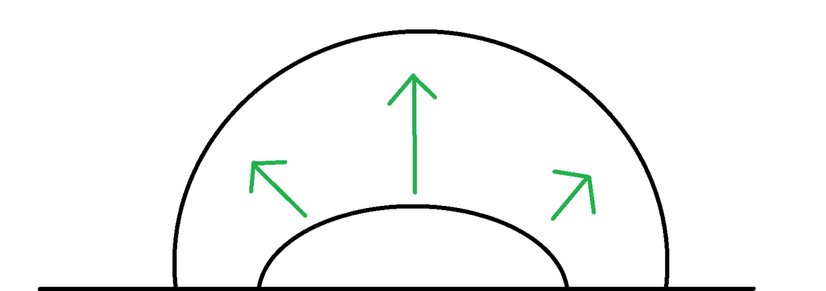 favia.png