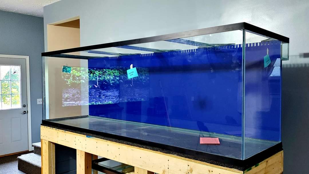 120 gallon aquarium for sale top
