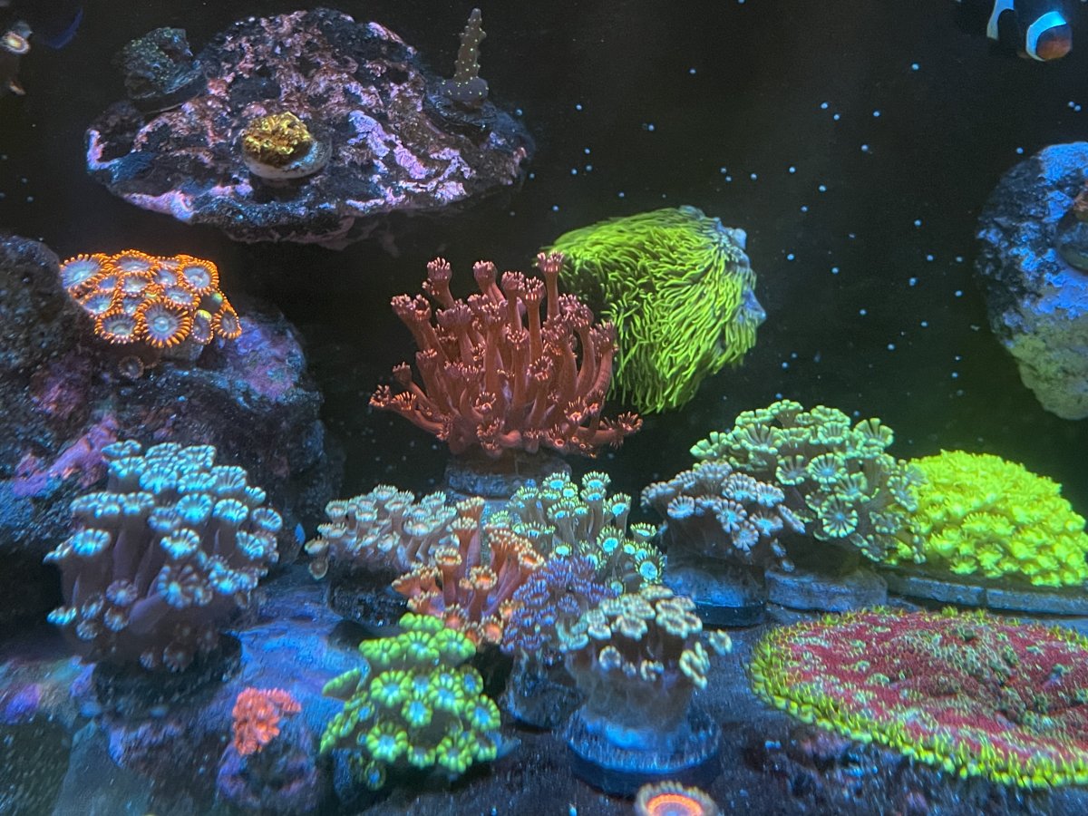 FD39E067-BA81-49C7-B159-5F2C8CCA45A4.jpeg