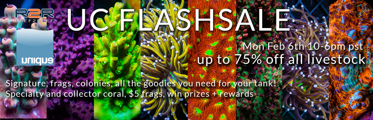 FEb6-Flashsale-R2R-UC-bannerpng.png