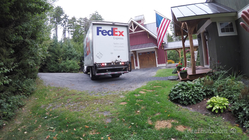 Fed Ex Arriving.jpg