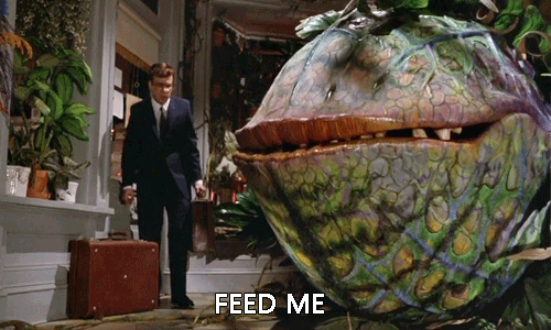 feedmeshopofhorrors.gif