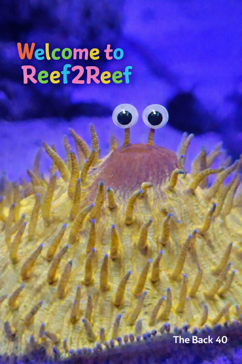 file_00000000a7c871fd80ff2460308a1fdc.png