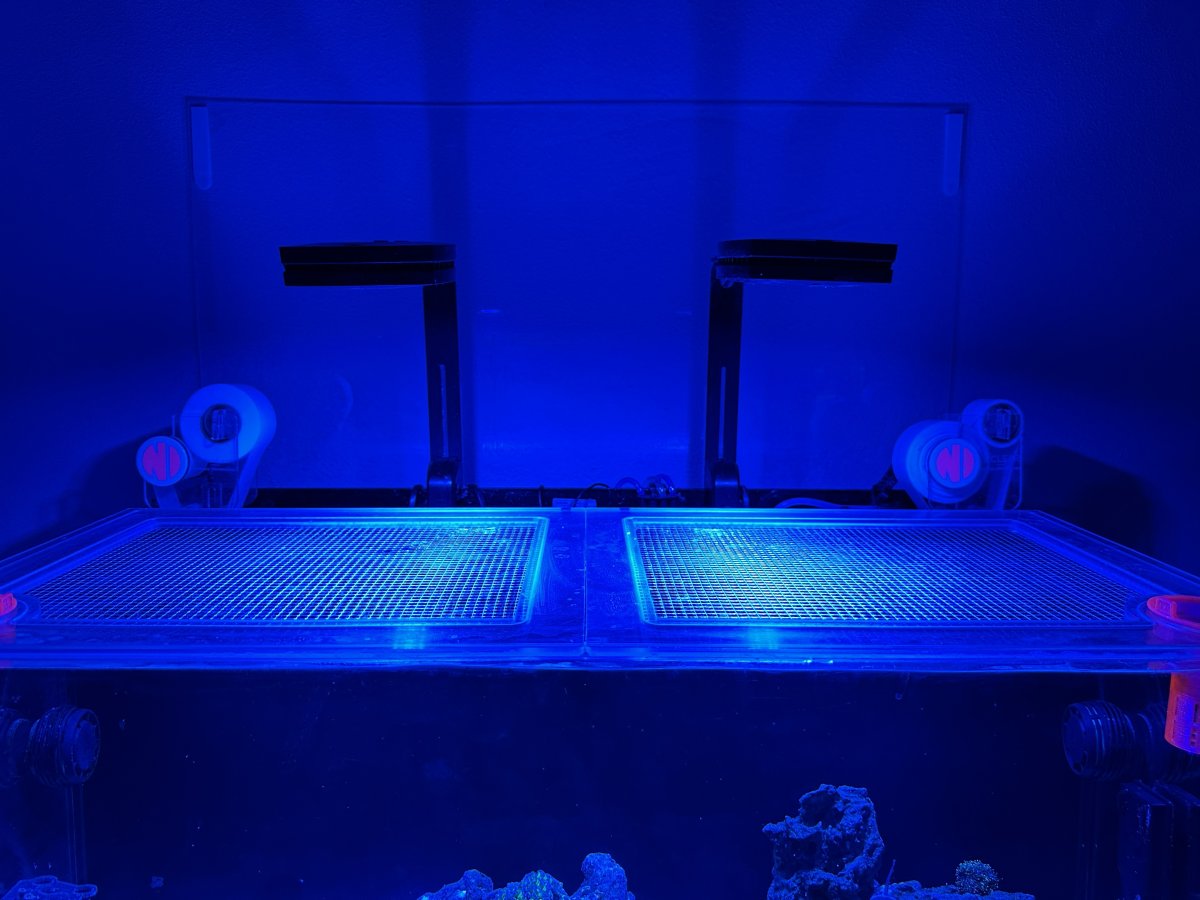 Filter Rollers.jpeg