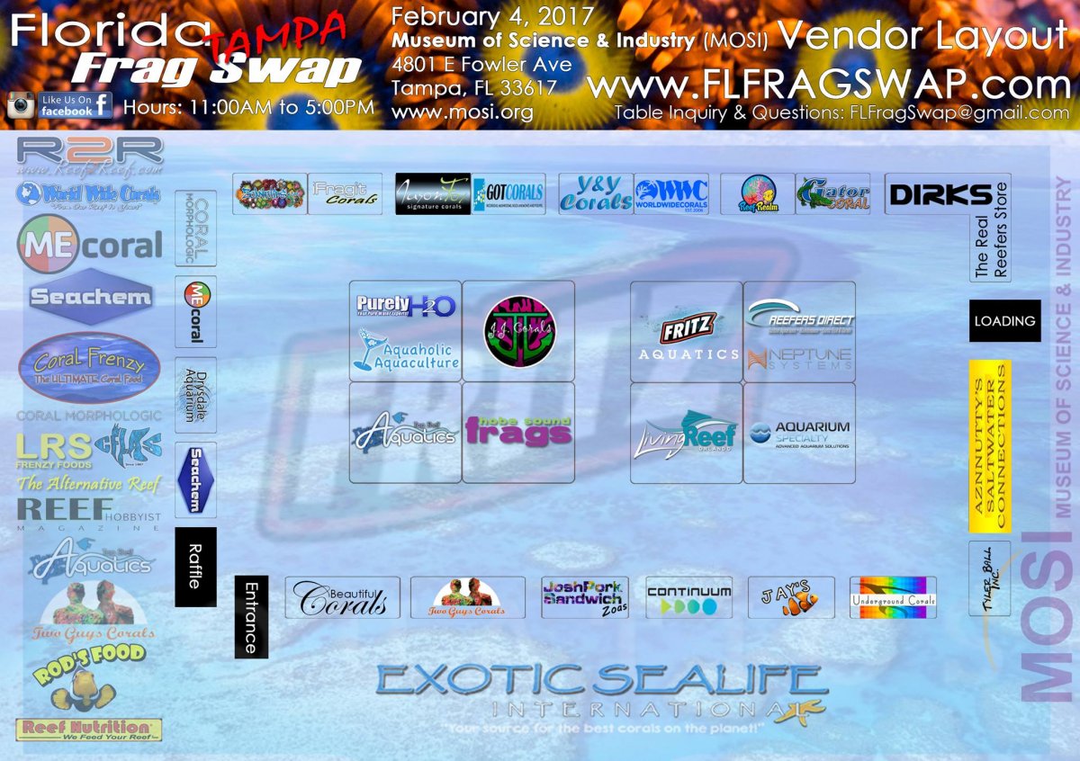 final layout.jpg
