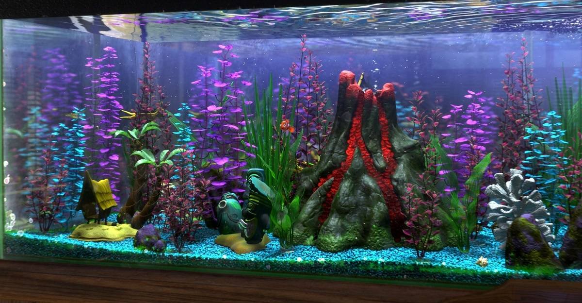 Finding Nemo Aquarium.jpg