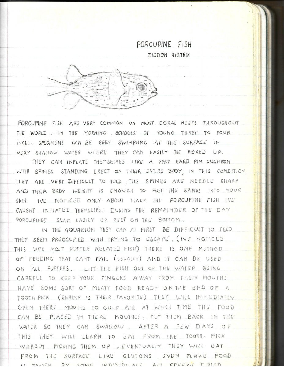 First fish book.jpg