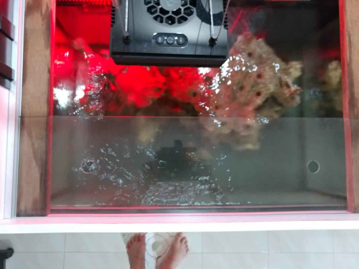 First Glass In.jpeg