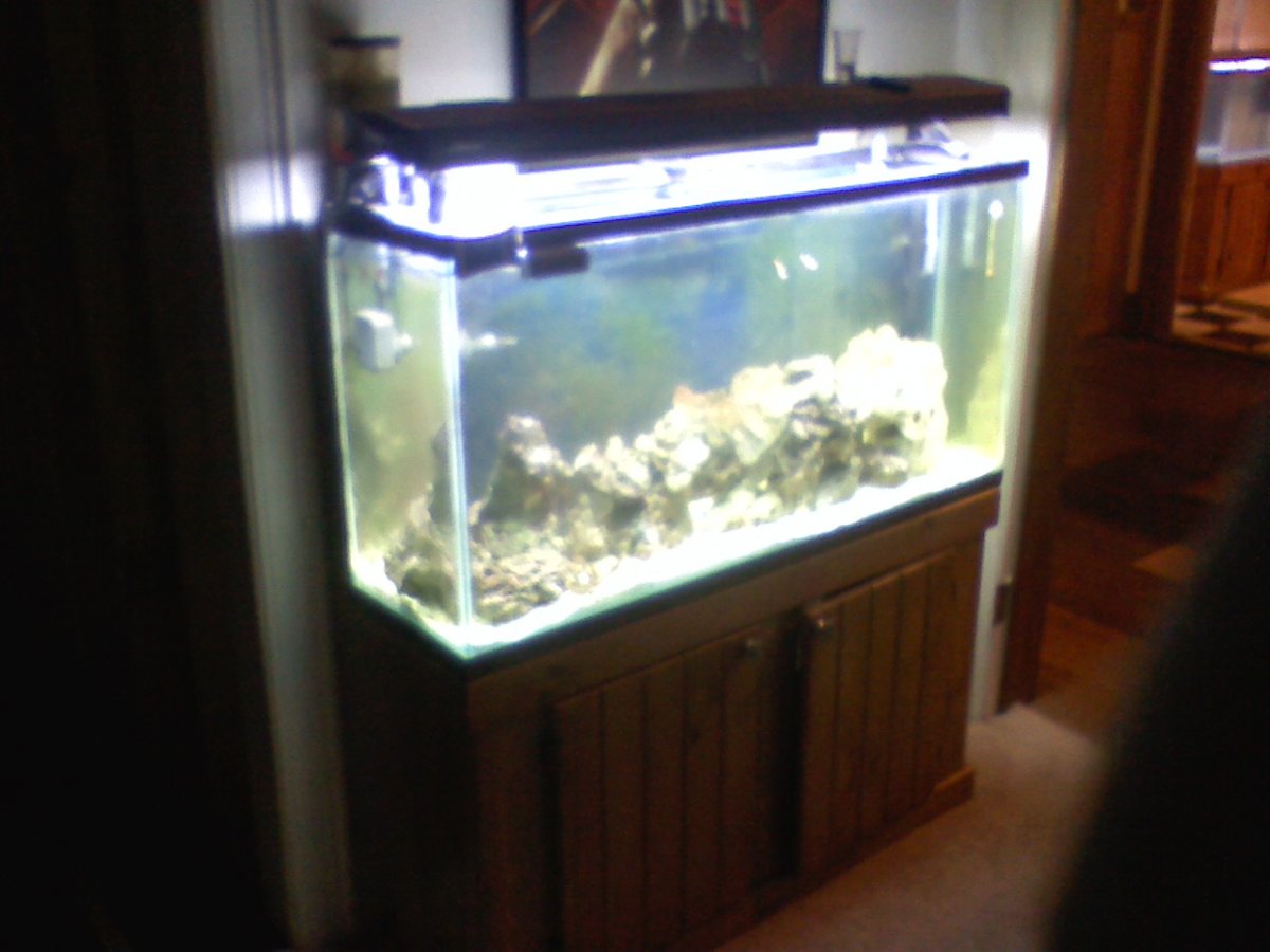 FIRST TANK.jpg