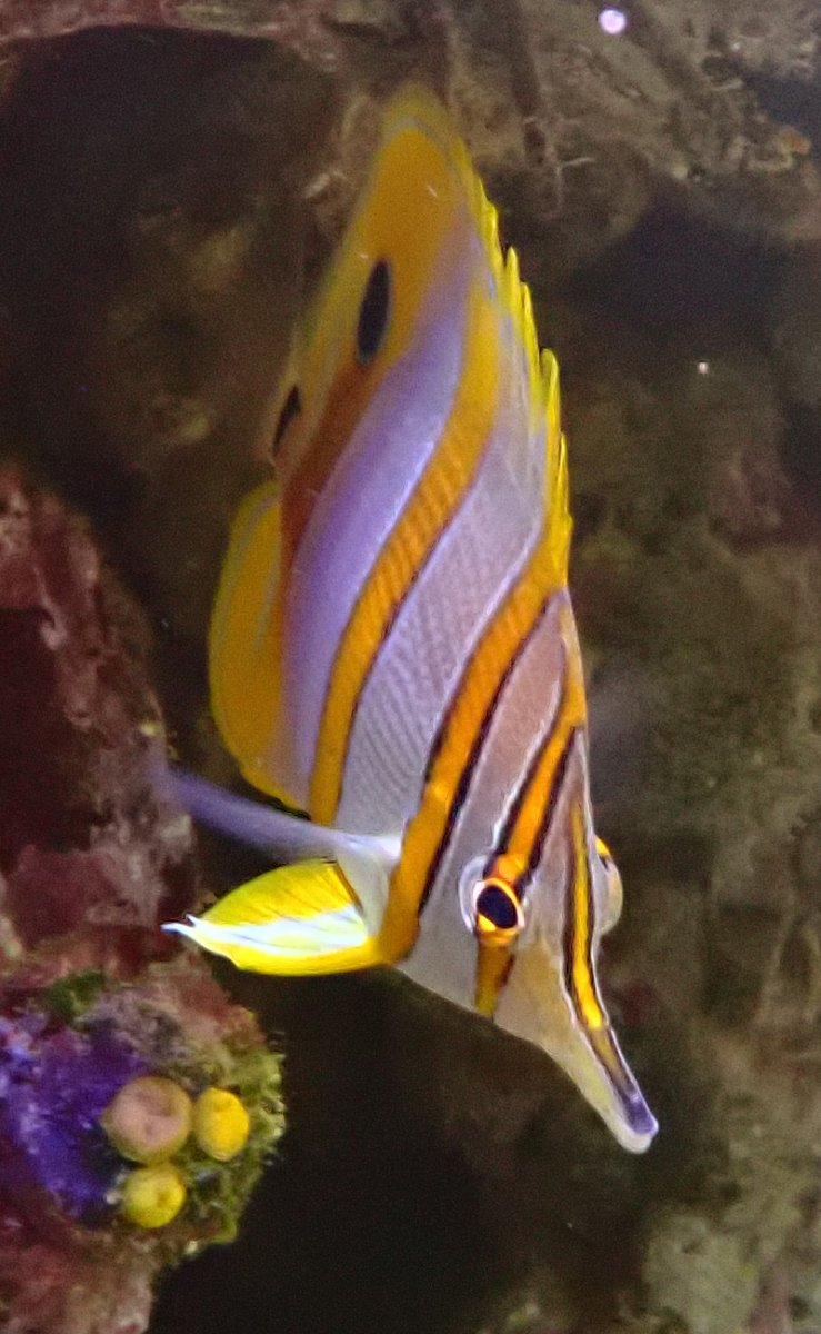 fish-1.jpg