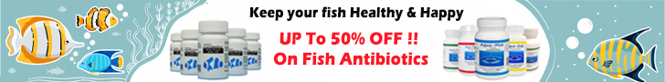 fish antibioticss.jpg