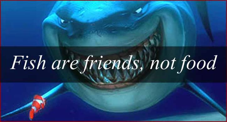Fish are friends not food.jpg