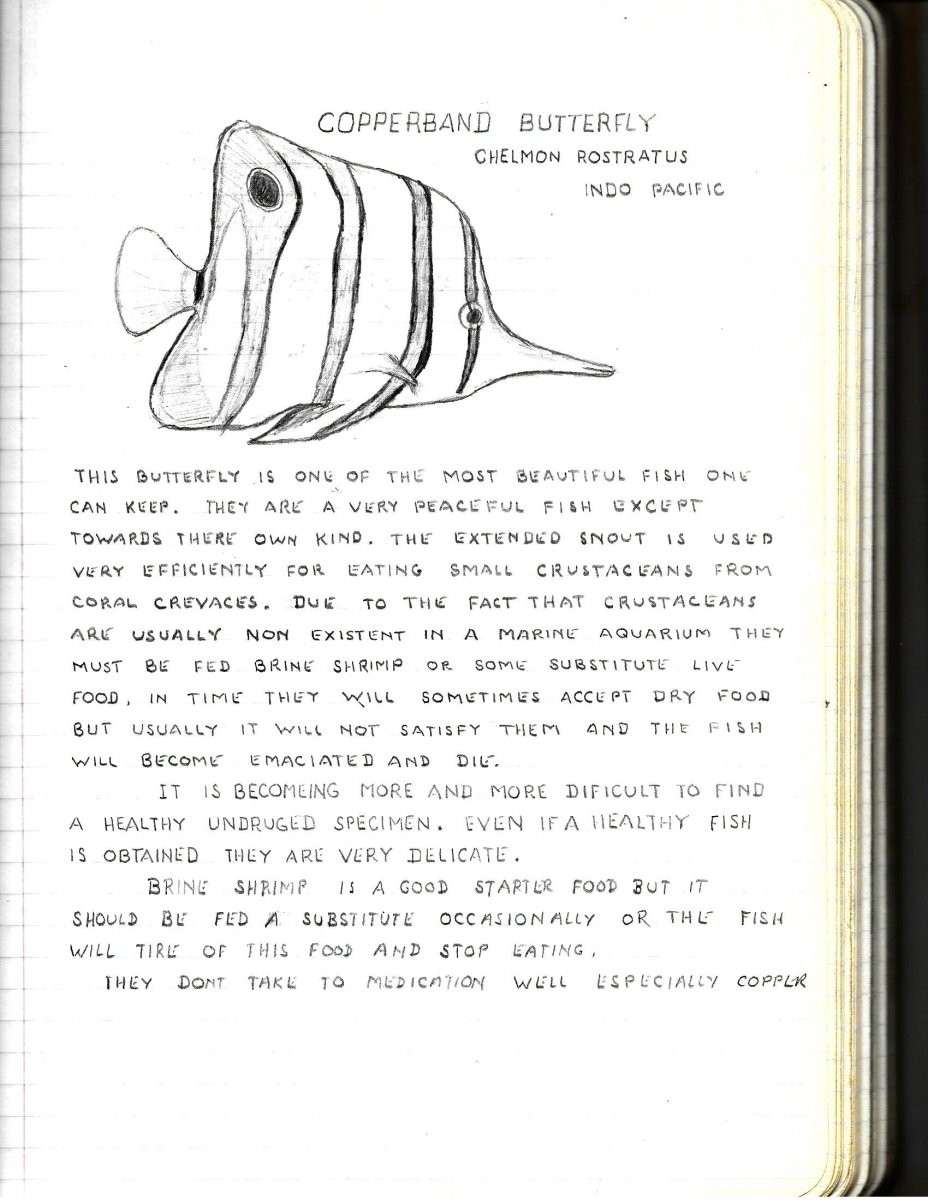 Fish book copperband.jpg
