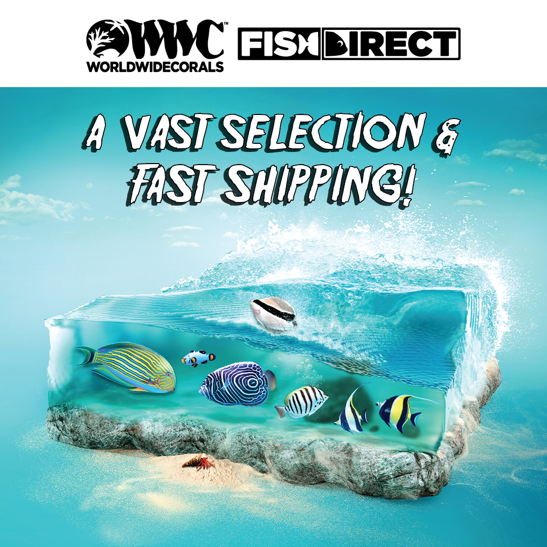 Fish Direct graphics.jpg