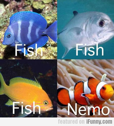 Fish, Fish, Fish___ Nemo!(1).jpg
