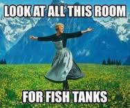 fish.jpg