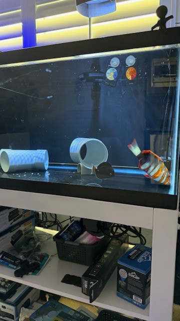 Large Build - Raptor’s WATERBOX LX 330.7 | Page 3 | Reef2Reef