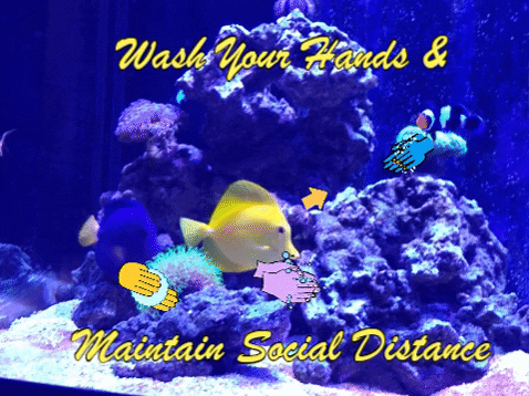 fish mask.gif