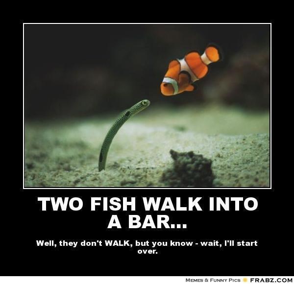fish-meme-of-a-joke-that-two-fish-walked-into-a-bar.jpeg