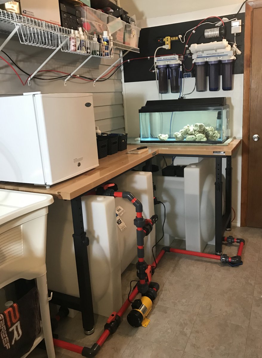 Fish room 2 IMG_4841.jpg