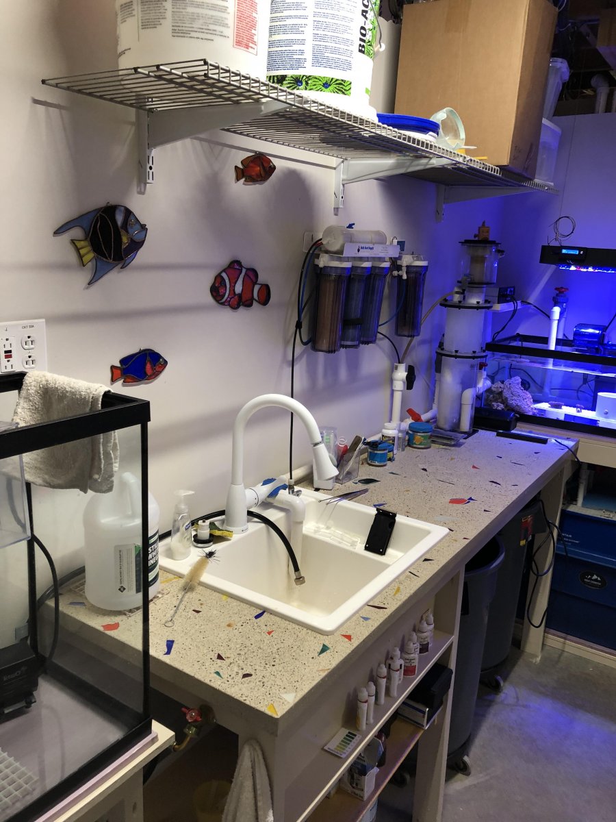Fish room 2.jpg