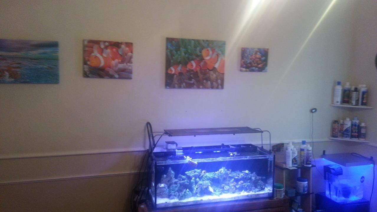 fish room.jpg