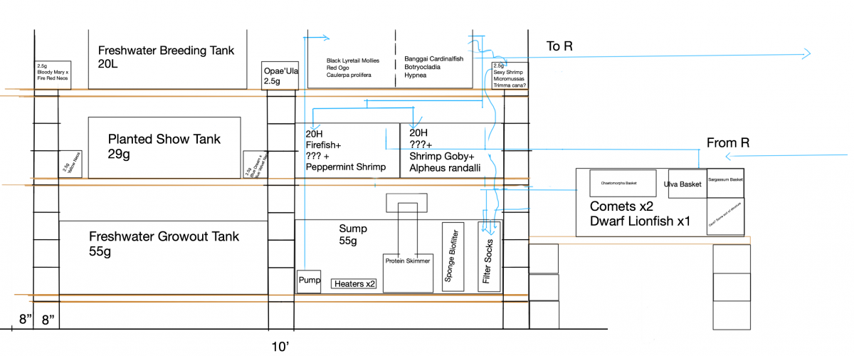 Fish Space Plan 3.png