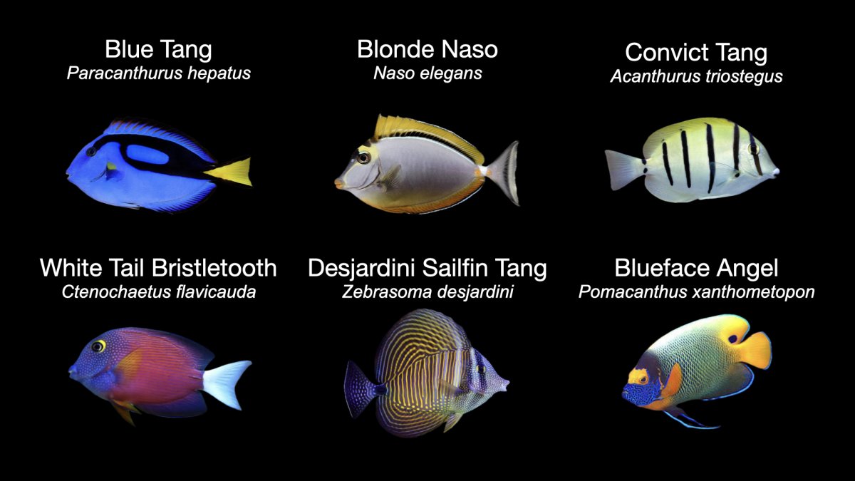 Fish Stocking List.002.jpeg