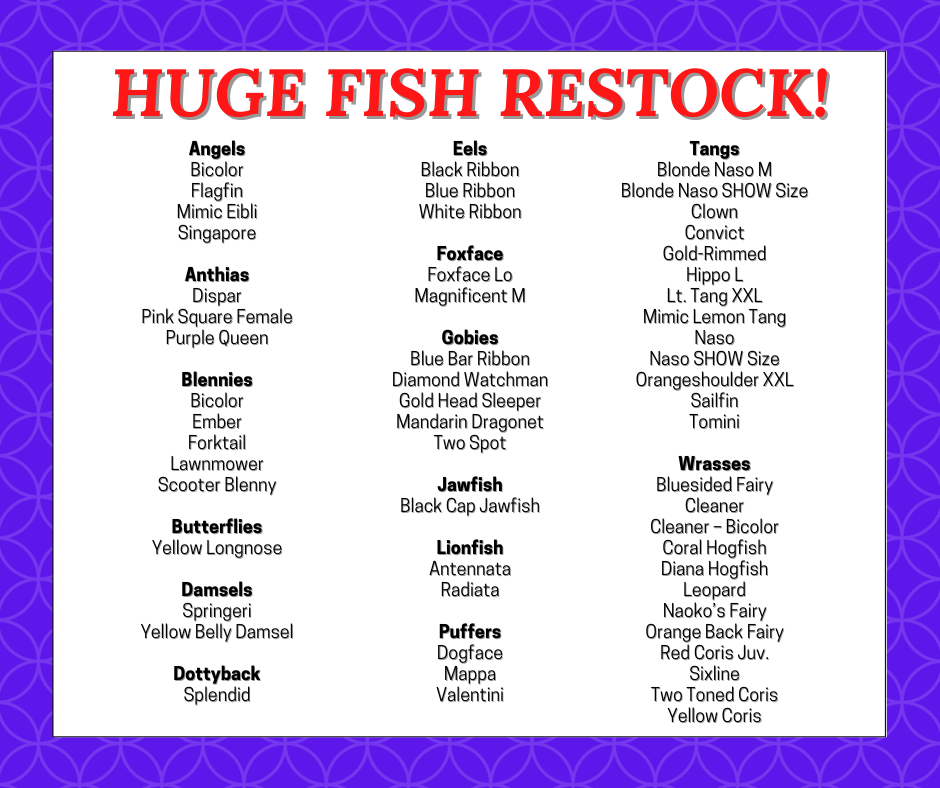 Fish Stocklist Week 11623.png